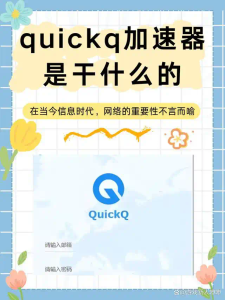 QuickQ怎么使用防记录DNS？